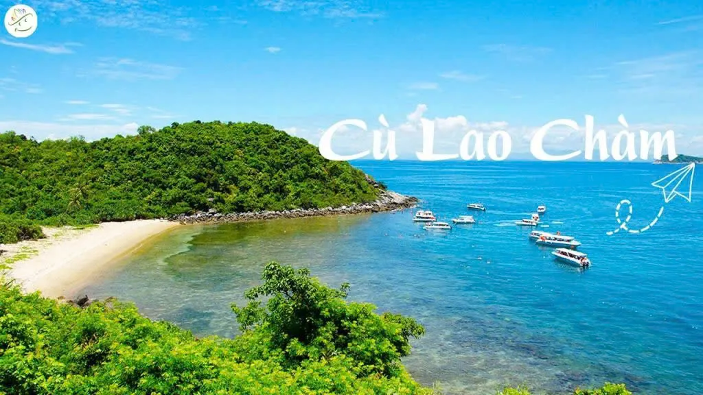 Day Tour | Discover Cham Island from Da Nang/Hoi An