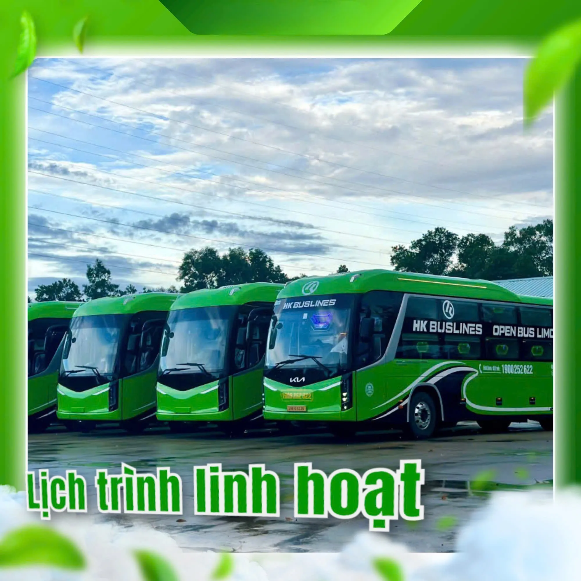 Transfer Service Hanoi - Phong Nha - Hue - Da Nang - Hoi An Round-Trip HKBuslines  | Customizable Destination